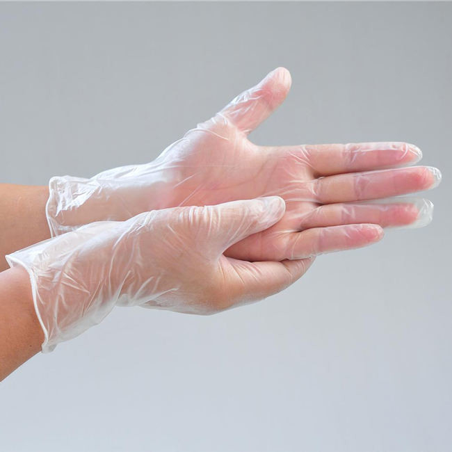 Household Disposable Vinyl Gloves Powder Free With CE